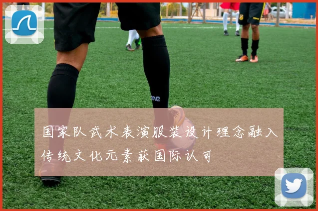 国家队武术表演服装设计理念融入传统文化元素获国际认可