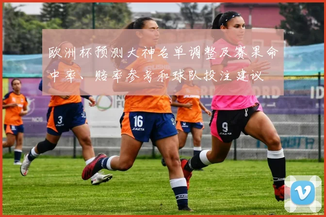 欧洲杯预测大神名单调整及赛果命中率、赔率参考和球队投注建议