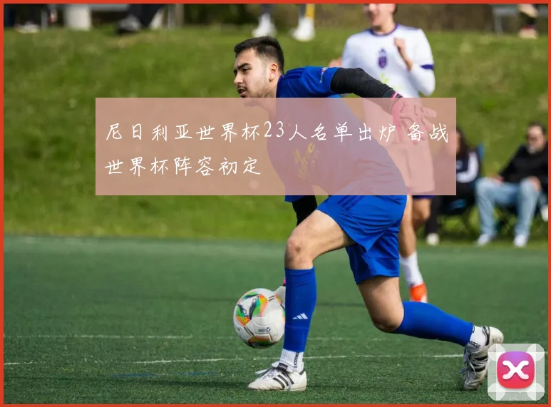 尼日利亚世界杯23人名单出炉 备战世界杯阵容初定