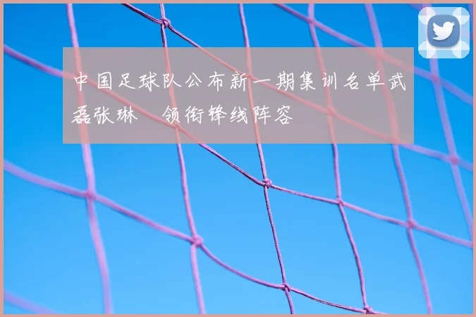 中国足球队公布新一期集训名单武磊张琳芃领衔锋线阵容