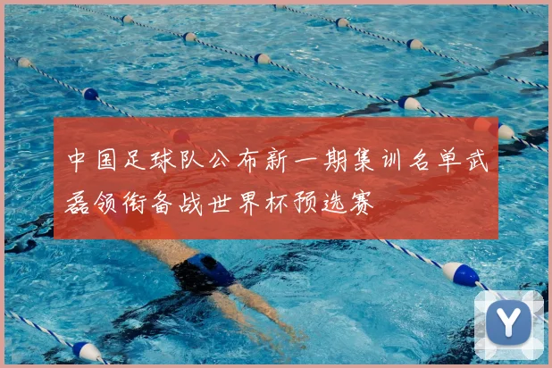中国足球队公布新一期集训名单武磊领衔备战世界杯预选赛