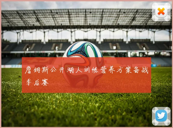 詹姆斯公开湖人训练营养方案备战季后赛