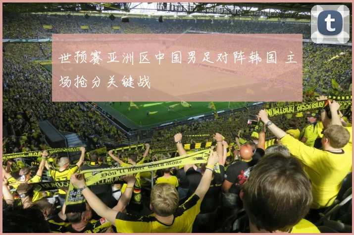 世预赛亚洲区中国男足对阵韩国 主场抢分关键战