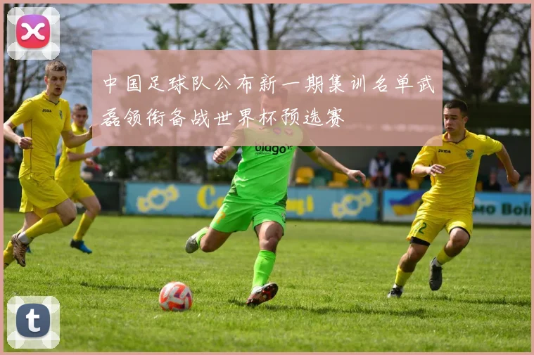 中国足球队公布新一期集训名单武磊领衔备战世界杯预选赛