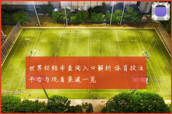 世界杯赔率查询入口解析 体育投注平台与观看渠道一览