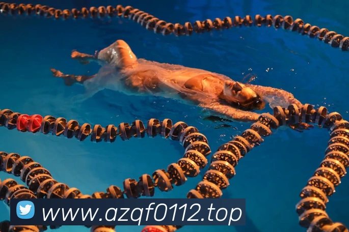 新爱体育官网全站App